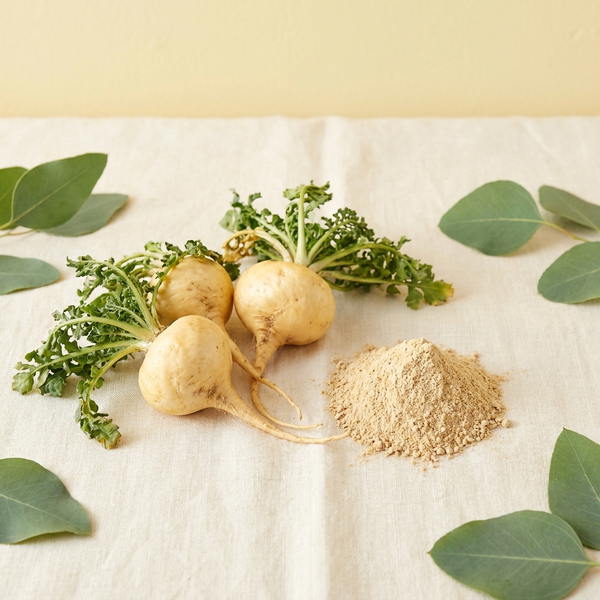 Racine de maca