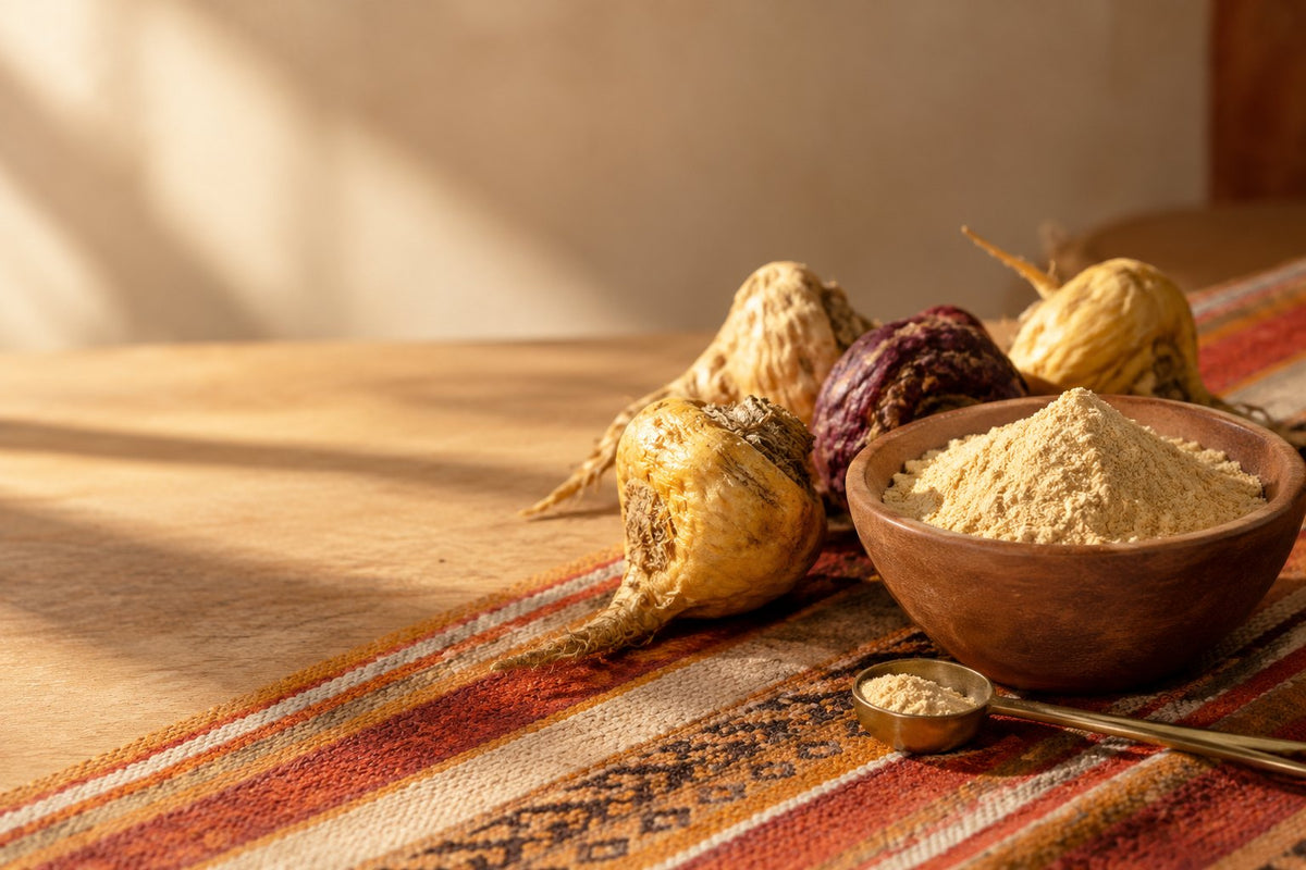 Maca root for women over 40: dried maca roots, powder and an amber dropper bottle in morning light