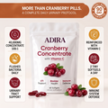 ADIRA Cranberry Concentrate — complete daily urinary protocol infographic