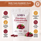 ADIRA Cranberry Concentrate — complete daily urinary protocol infographic
