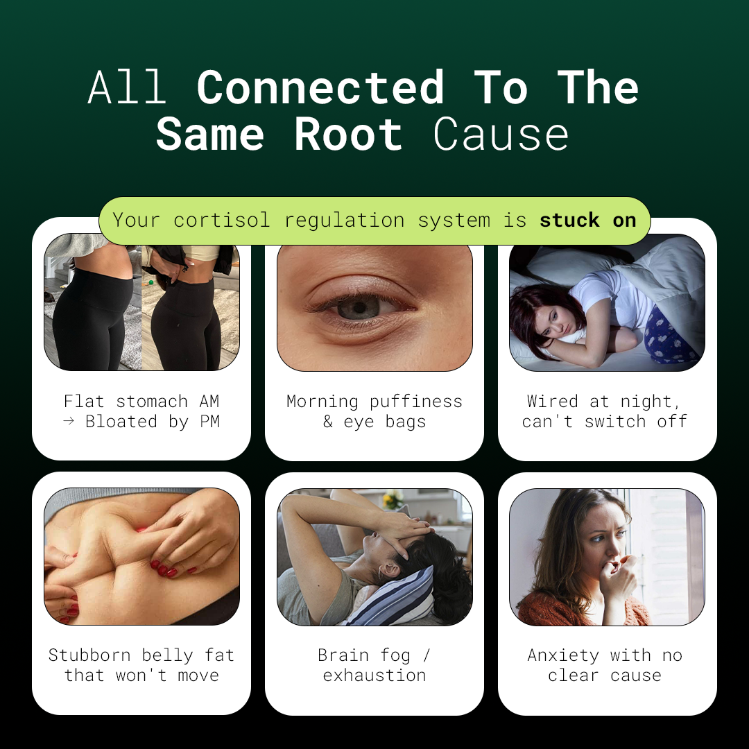Rhodiola rosea for mental focus and clarity through a long day